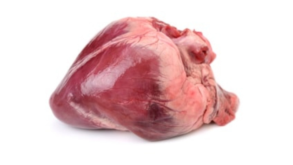 Cuore Suino 