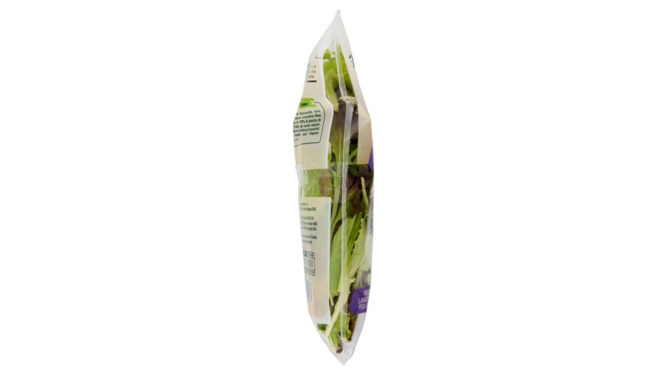 Bonduelle Carta delle Insalate Ricetta Olive