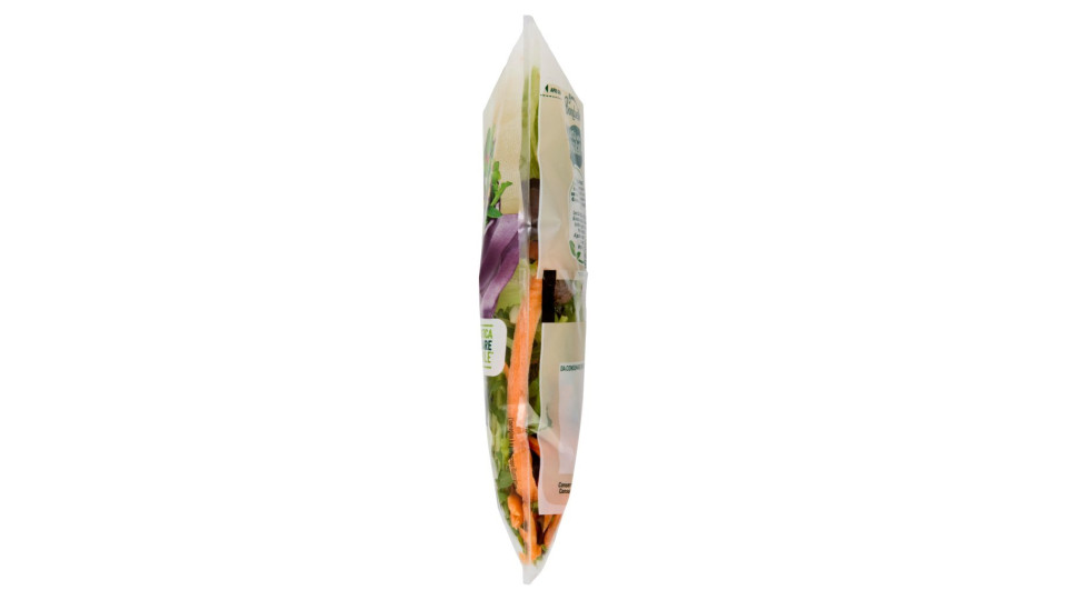 Bonduelle Carta delle Insalate Ricetta Olive