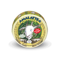 Formaggio di Capra la Prima