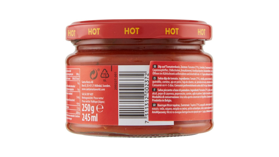 Santa Maria Tex Mex Salsa Dip Hot