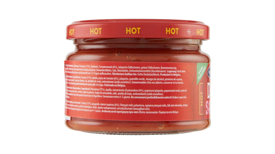 Santa Maria Tex Mex Salsa Dip Hot