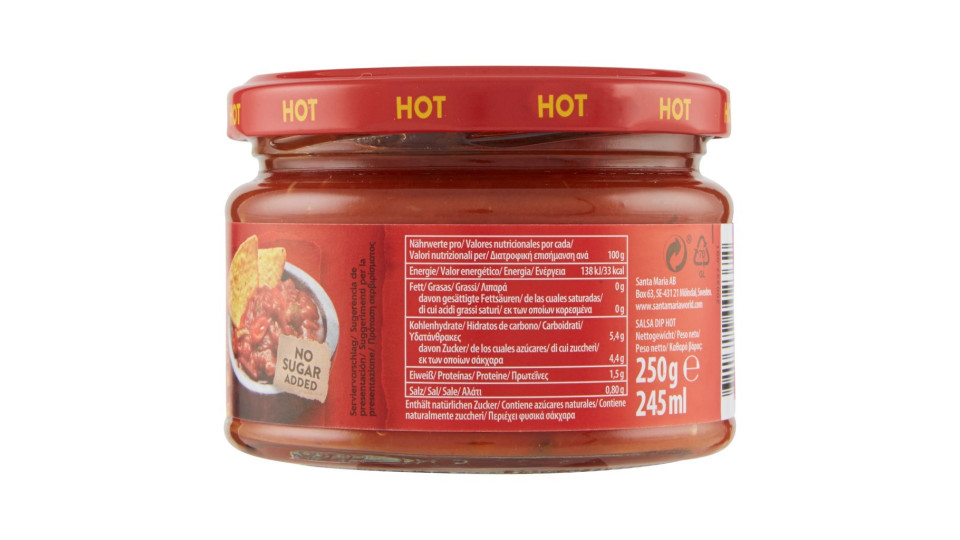 Santa Maria Tex Mex Salsa Dip Hot