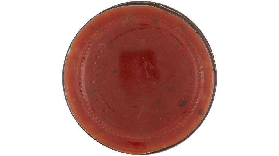 Santa Maria Tex Mex Salsa Dip Hot