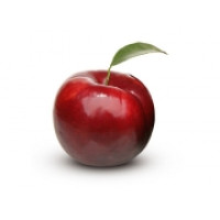 Susine Rosse