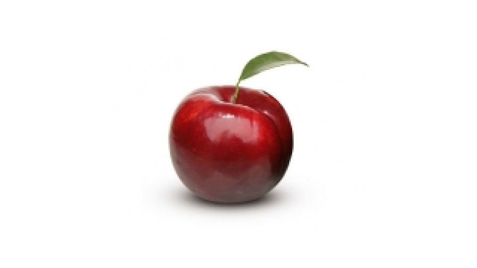 Susine Rosse  It 45-55 Ii^ Sf