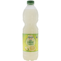 Bevanda alla Frutta Gusto Menta - Limone