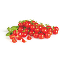 Pomodori Ciliegino