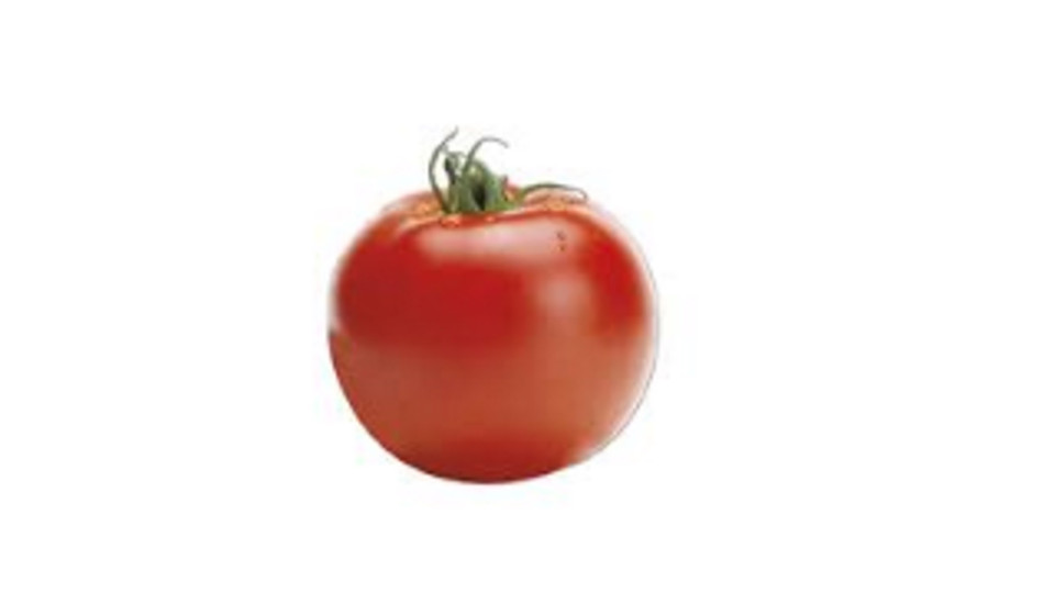 Pomodoro Insalataro