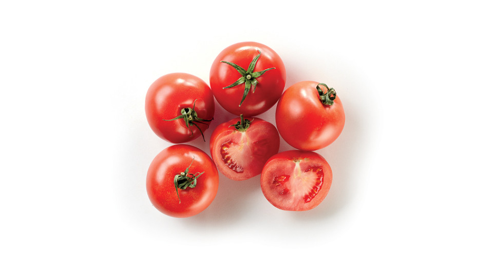 Pomodoro Insalataro