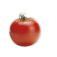 Pomodoro Insalataro