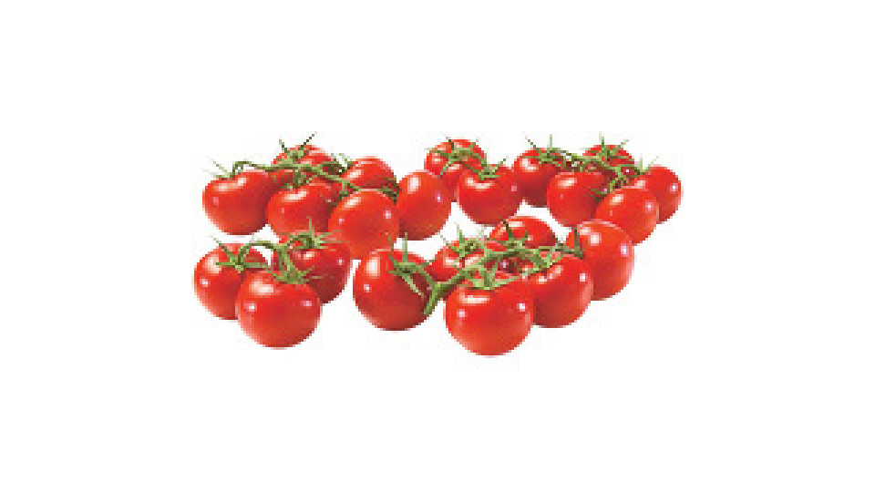 Pomodoro Ciliegino Premium