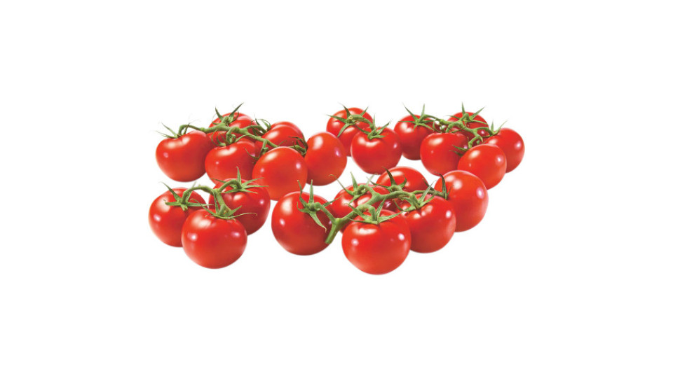 Pomodoro Ciliegino Premium