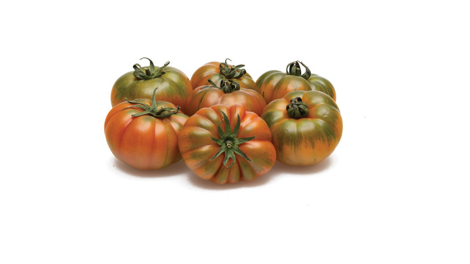 Pomodoro Costoluto Igp