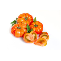 Pomodoro Costoluto Igp