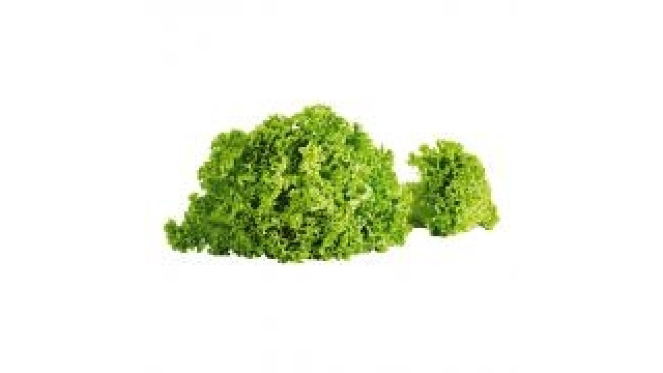 Insalata Gentile