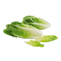 Insalata Romana