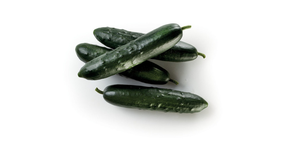 Cetrioli