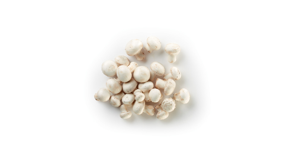 Champignon