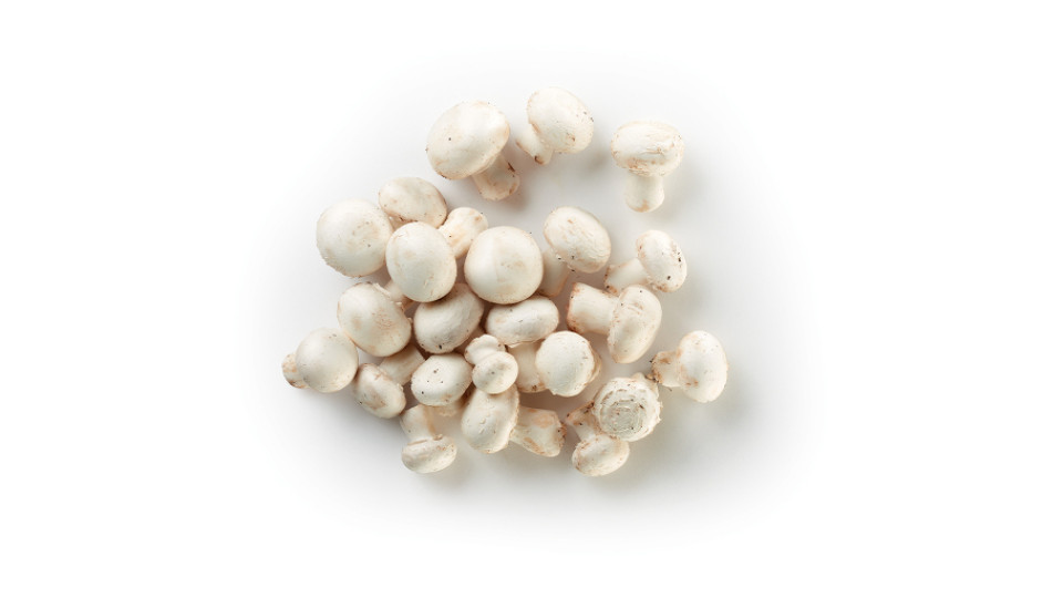 Champignon