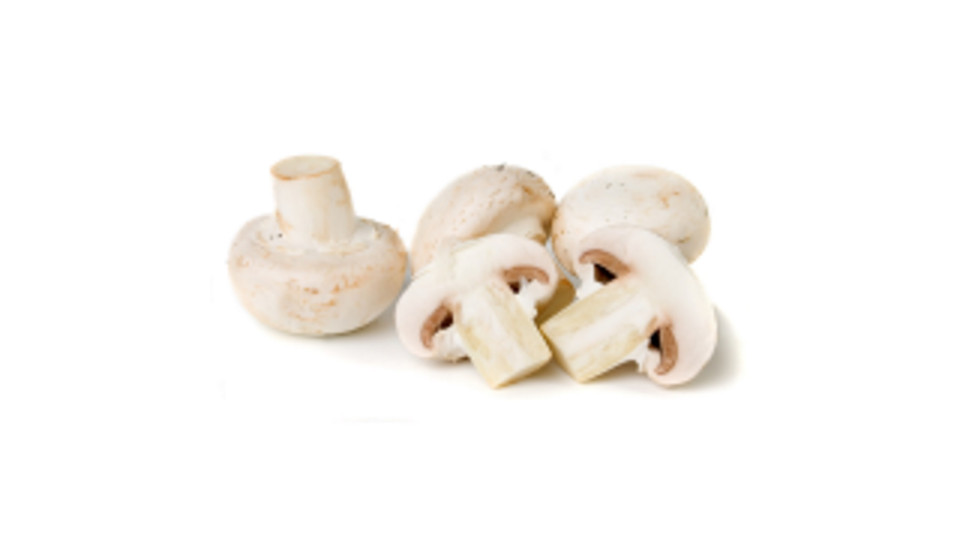 Champignon