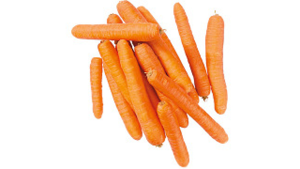 Carote