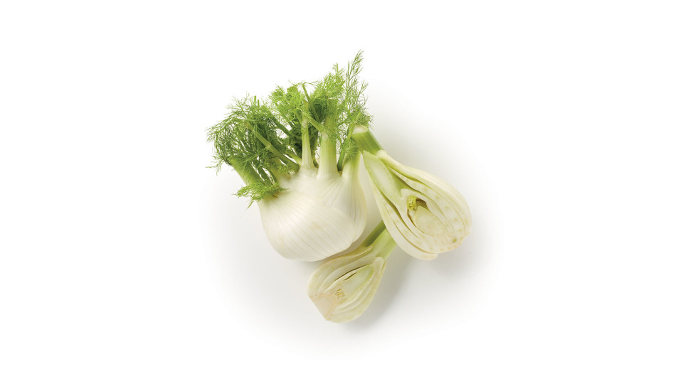 Finocchio