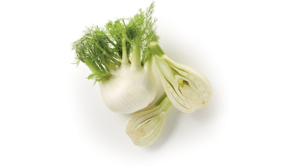 Finocchio