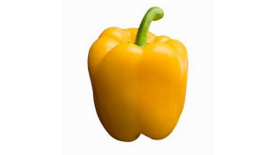 Peperone Giallo