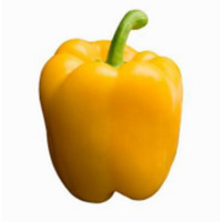 Peperone Giallo