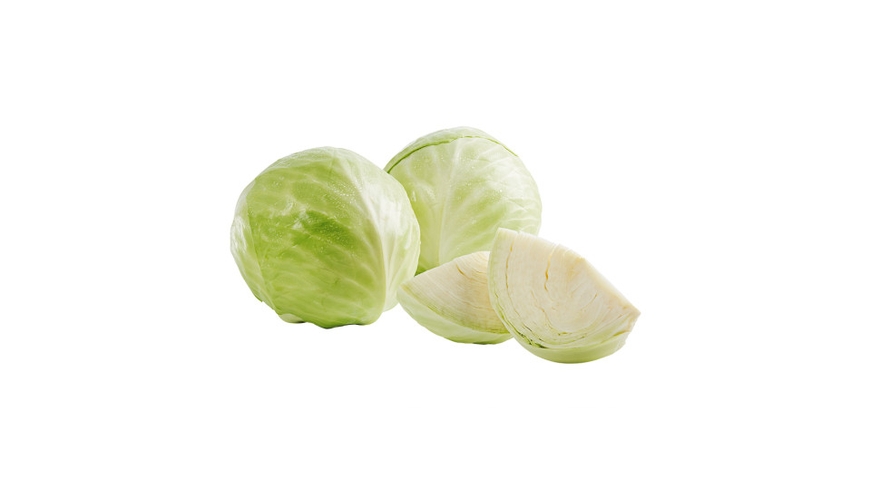 Cavolo Cappuccio Bianco