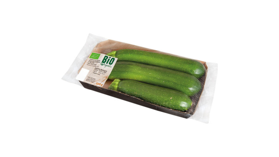 Zucchine Bio