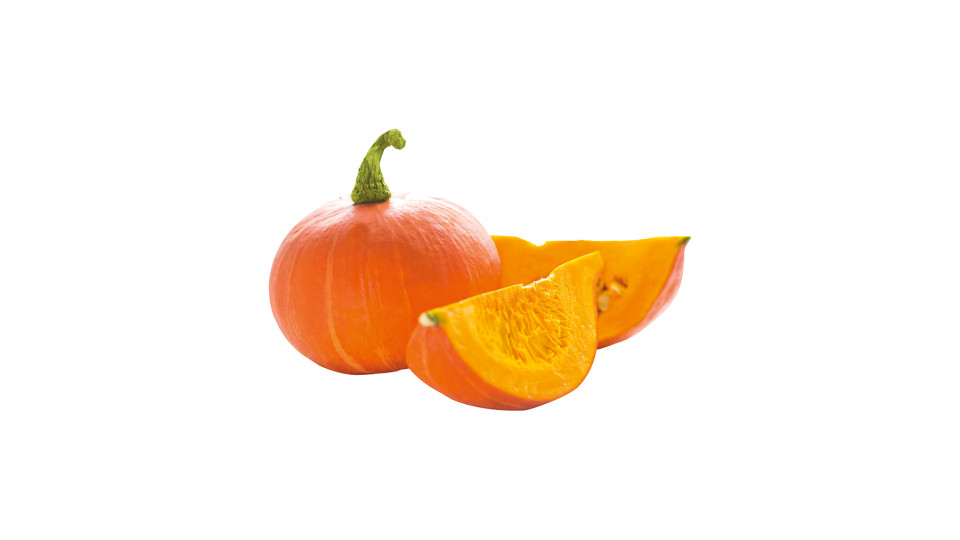 Zucca