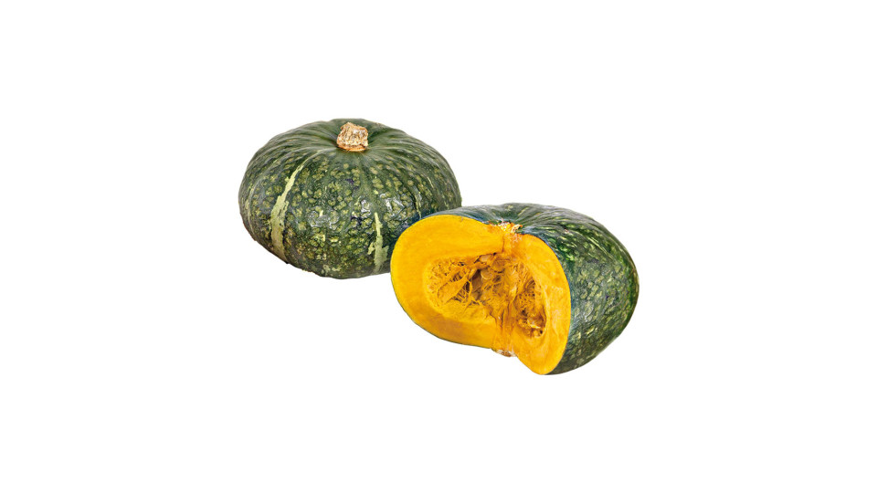Zucca