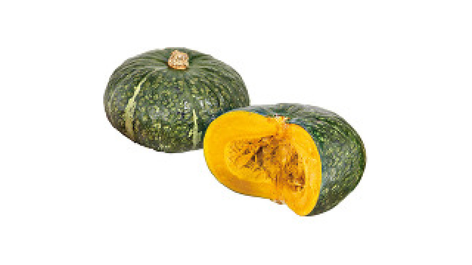 Zucca