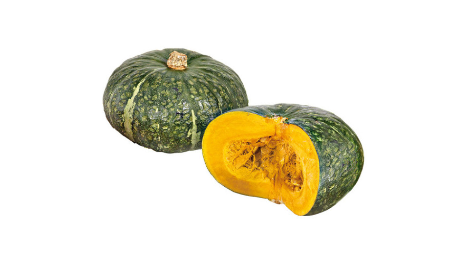 Zucca