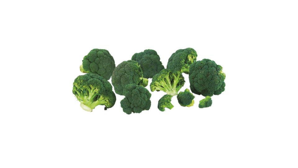 Broccoli Bio