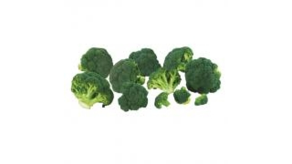 Broccoli Bio
