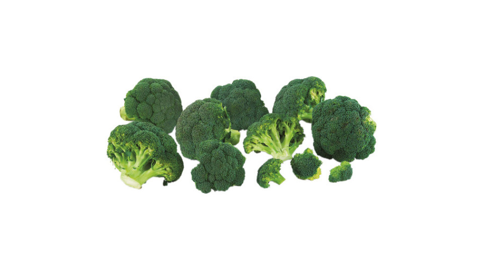 Broccoli Bio