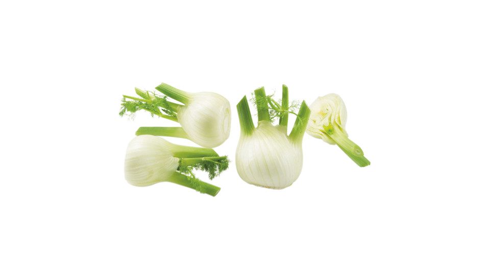 Finocchio Bio