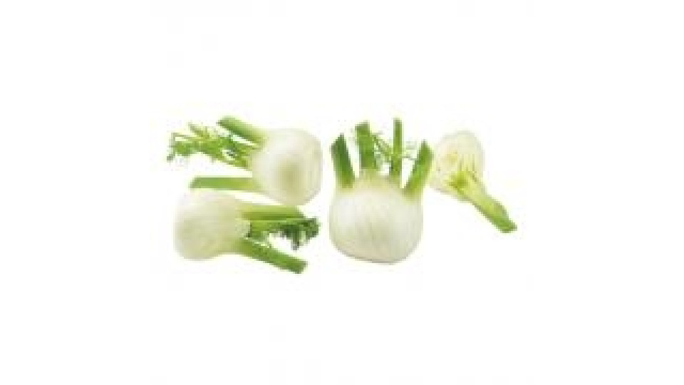 Finocchio Bio