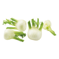 Finocchio Bio