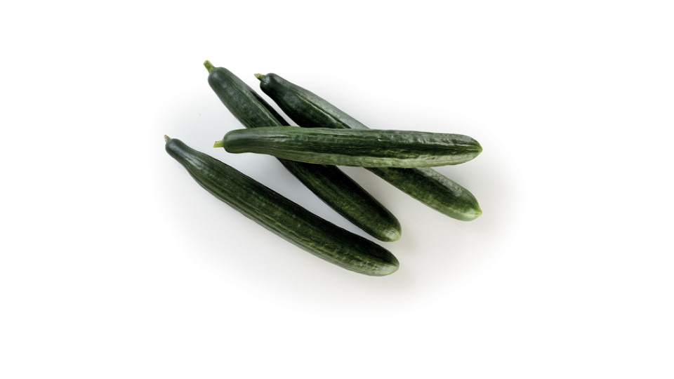 Cetrioli Olandesi