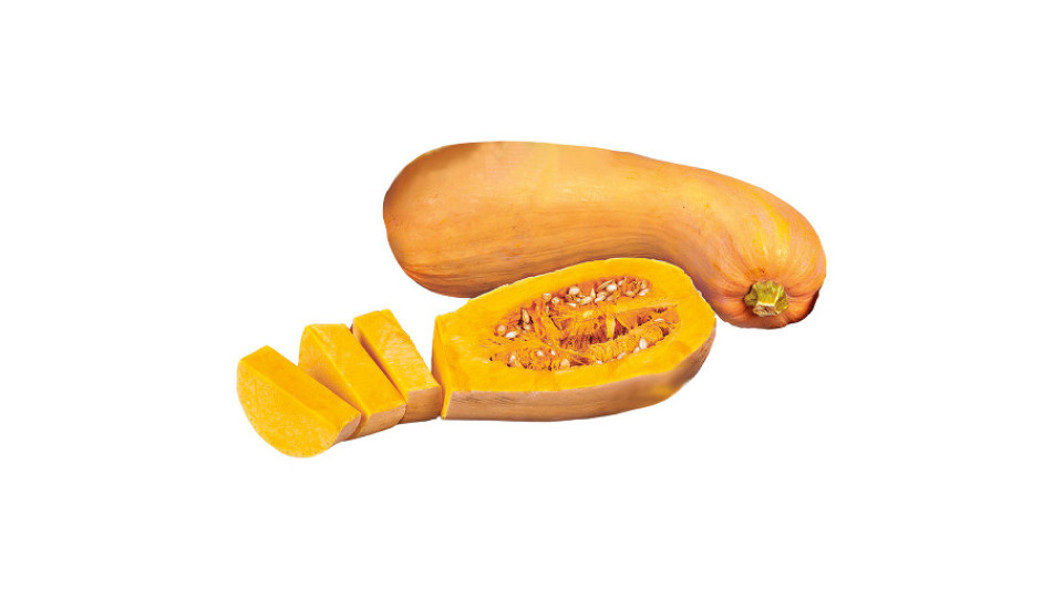 Zucca Butternut