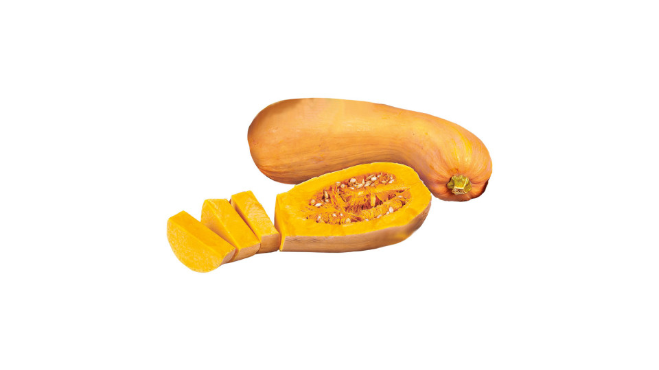 Zucca Butternut