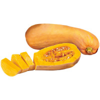 Zucca Butternut