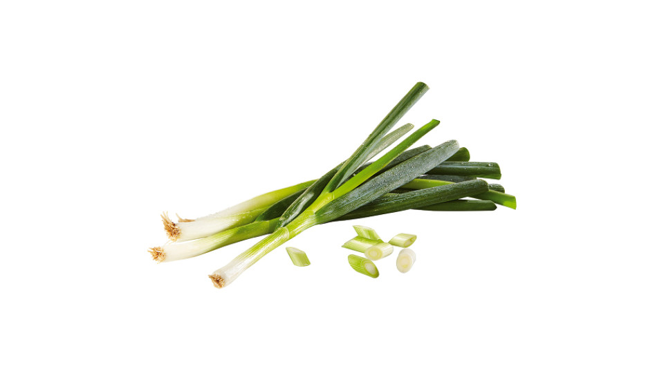 Cipollotti