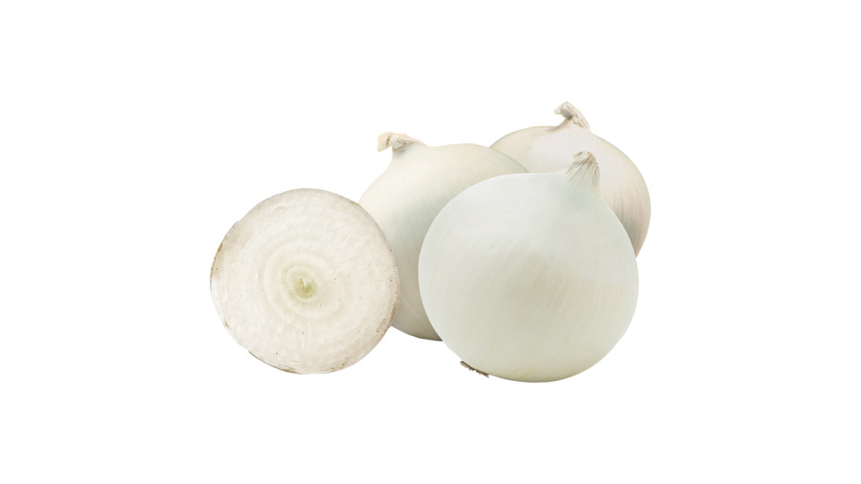Cipolla Bianca