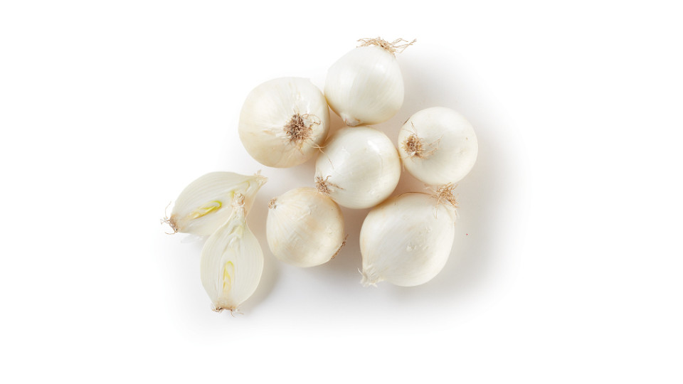 Cipolla Bianca