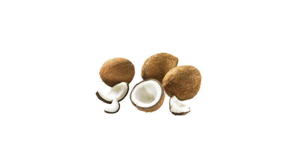Noci di Cocco
